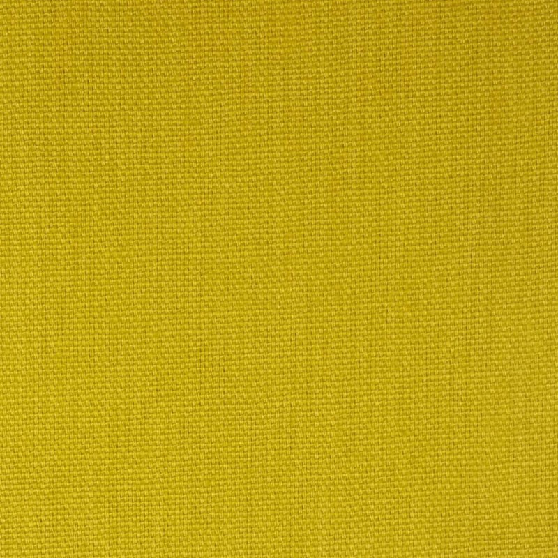 CANVAS-TURMERIC