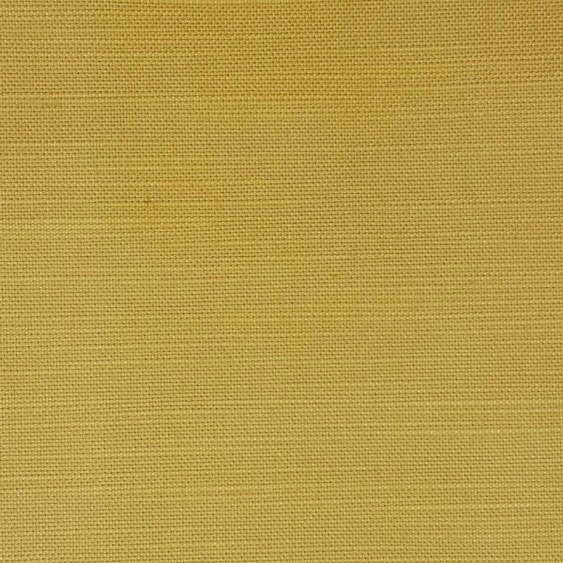 EGYPT-MUSTARD