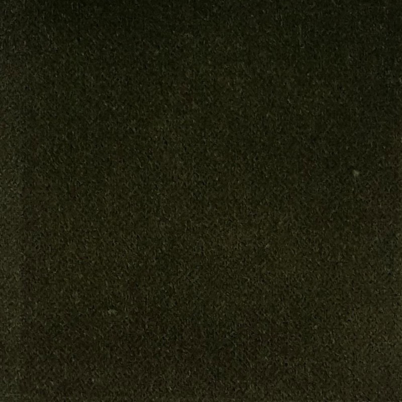 GLORIA-MOSS