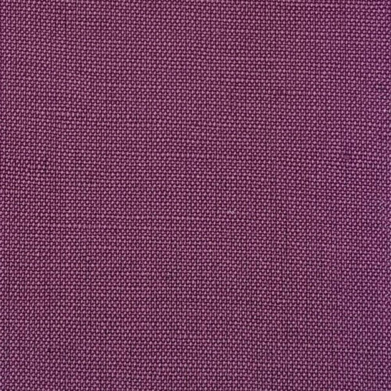 HOLLAND-PURPLE