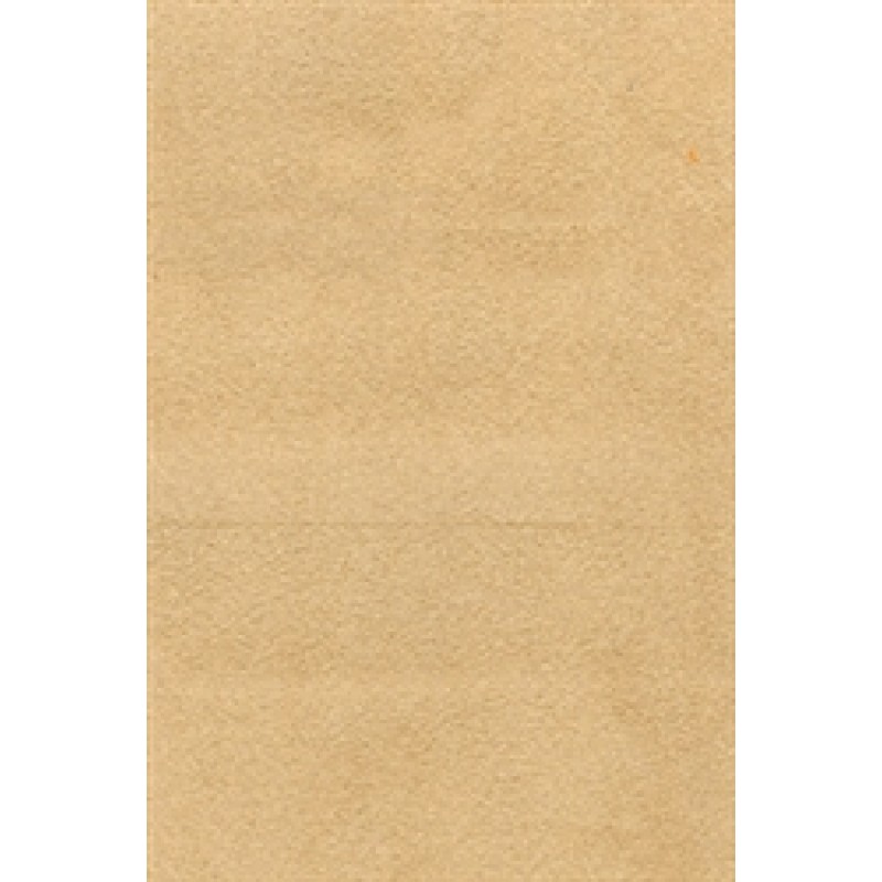 Nova Suede T3D8, Pale Khakhi