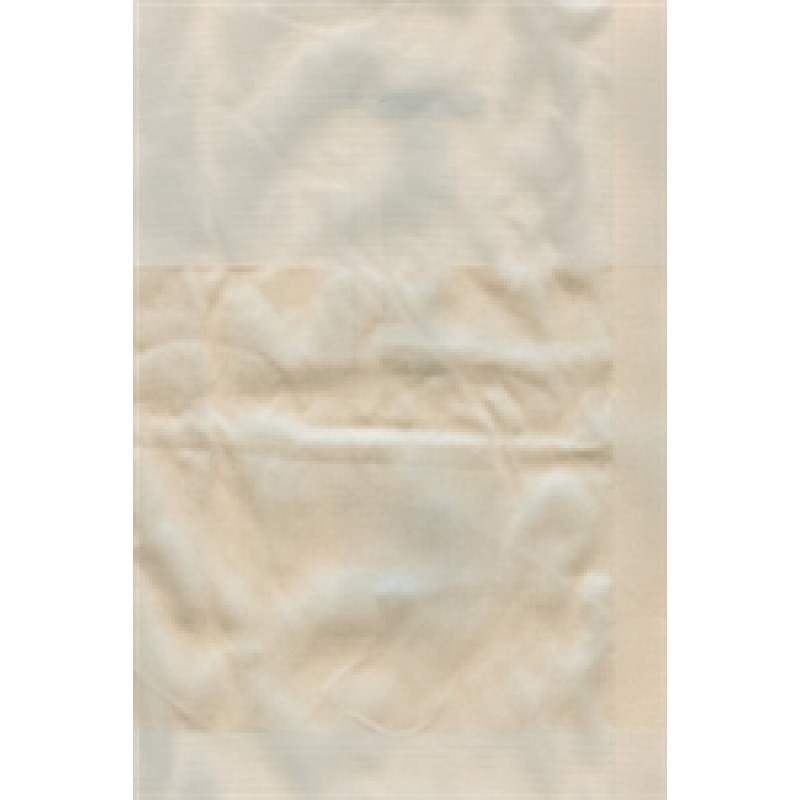 Regal Luxury Venetian, Champagne