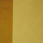 TYCO-GOLD