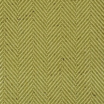 HERRINGBONE-LEAF